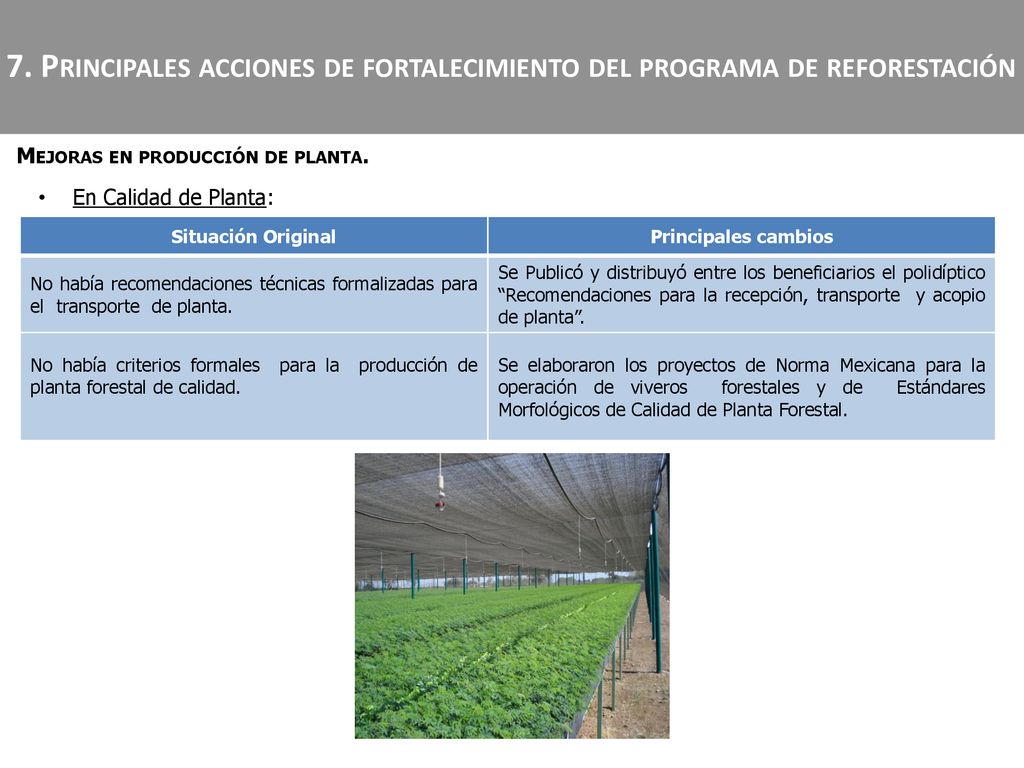 7. Principales acciones de fortalecimiento del programa de reforestación