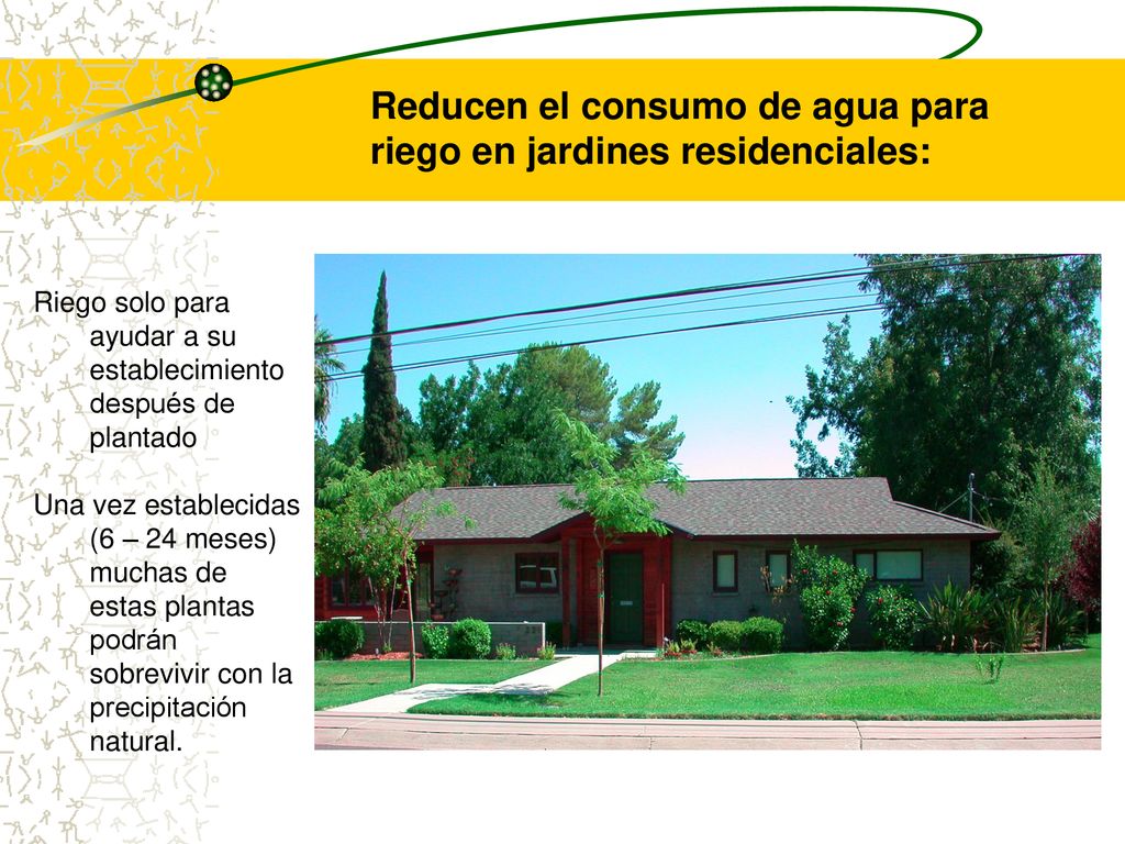 Reducen el consumo de agua para riego en jardines residenciales: