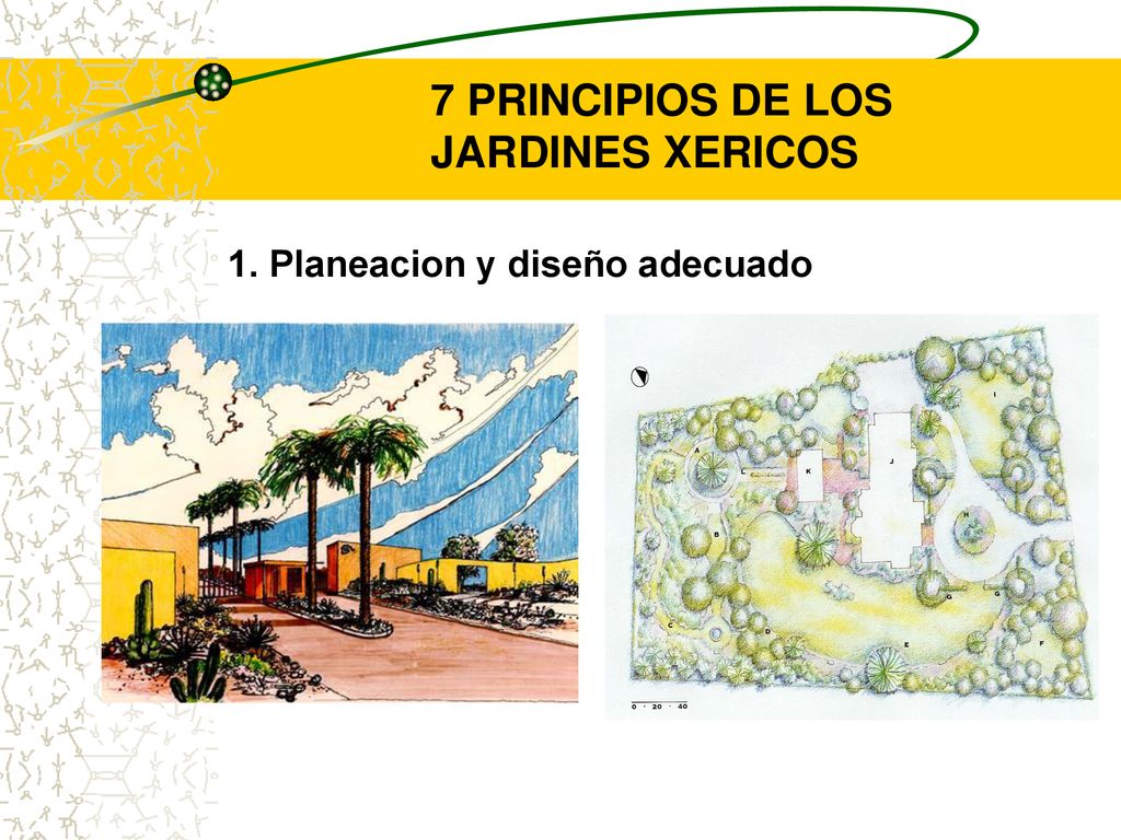 7 PRINCIPIOS DE LOS JARDINES XERICOS 1. Planeacion y diseño adecuado