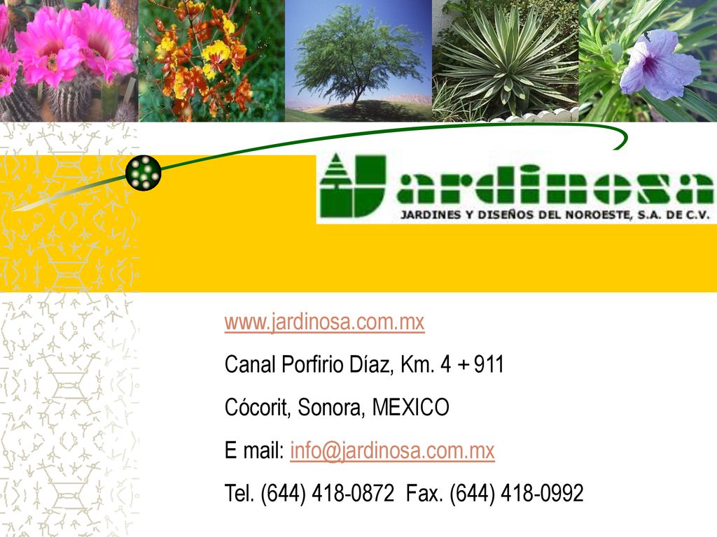 Canal Porfirio Díaz, Km Cócorit, Sonora, MEXICO. E mail: