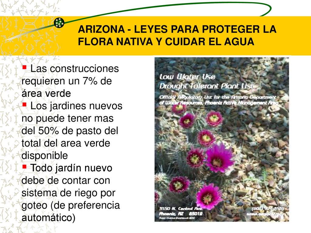 ARIZONA - LEYES PARA PROTEGER LA FLORA NATIVA Y CUIDAR EL AGUA