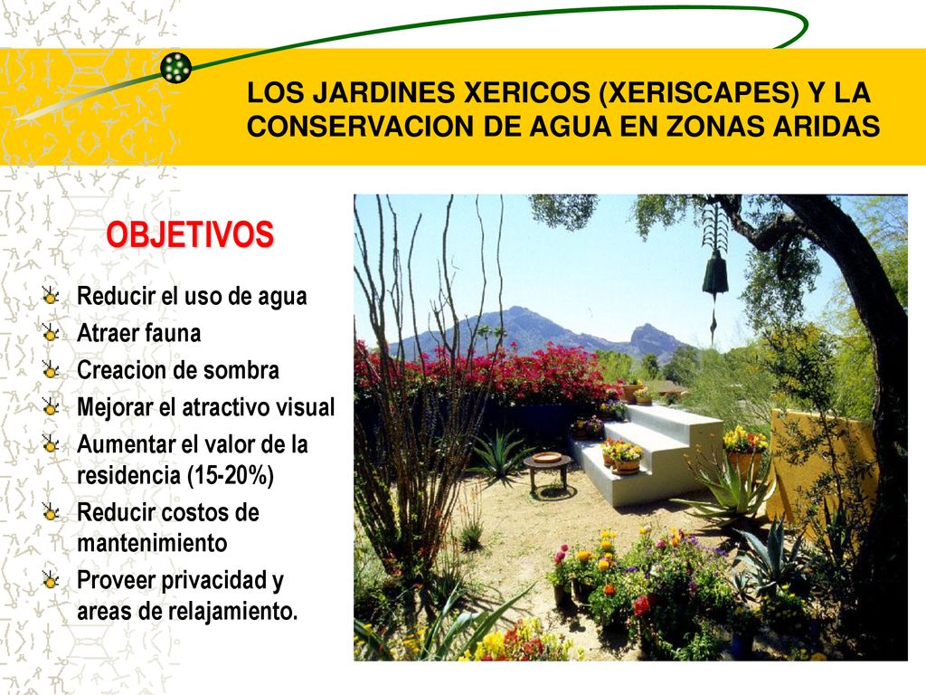 LOS JARDINES XERICOS (XERISCAPES) Y LA CONSERVACION DE AGUA EN ZONAS ARIDAS