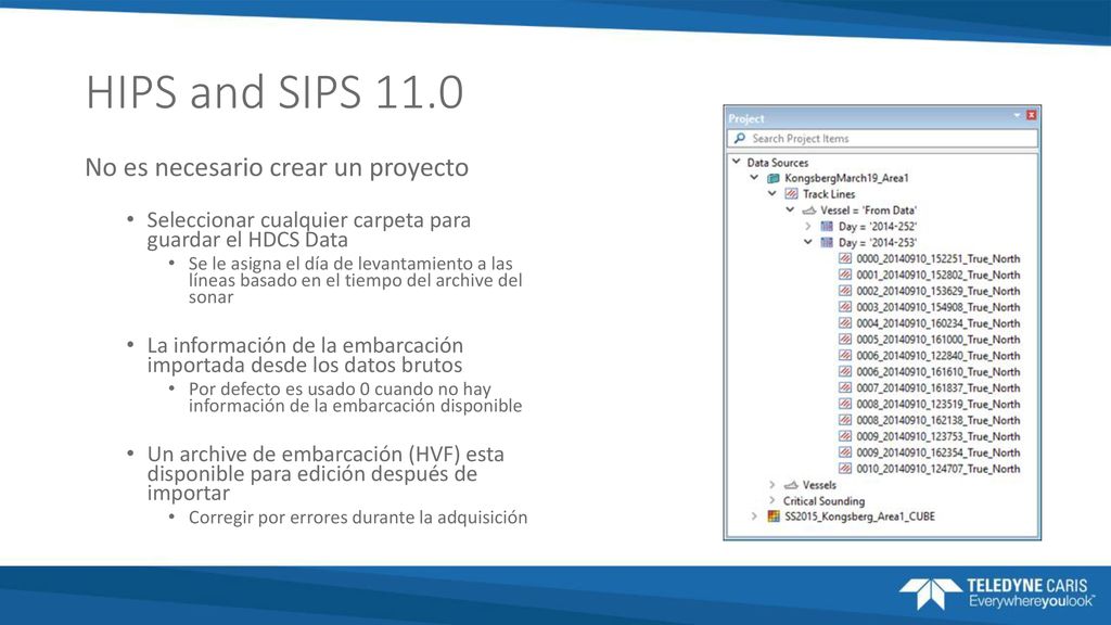 HIPS and SIPS 11.0 No es necesario crear un proyecto