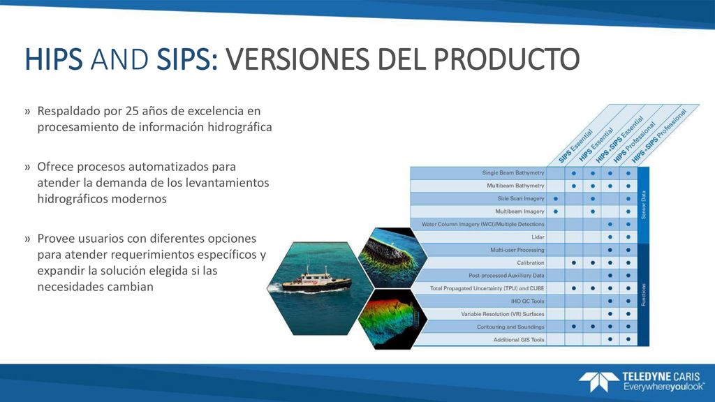 HIPS AND SIPS: VERSIONES DEL PRODUCTO