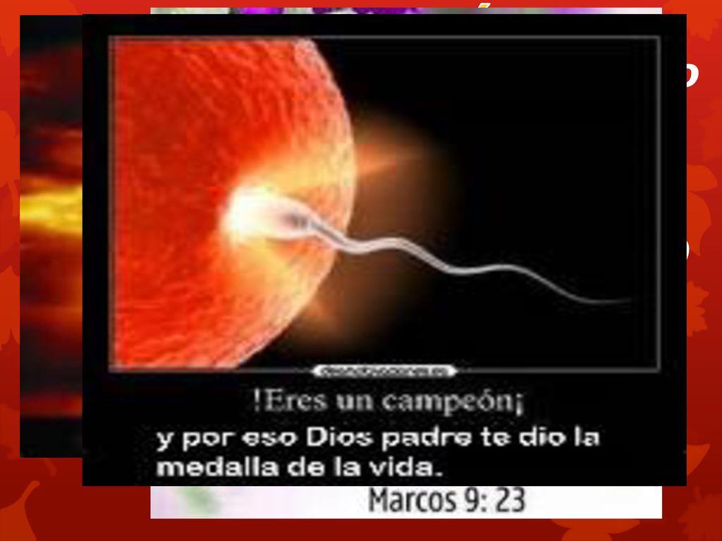 1. La fe, debemos tenerla en Dios y no en los hombres