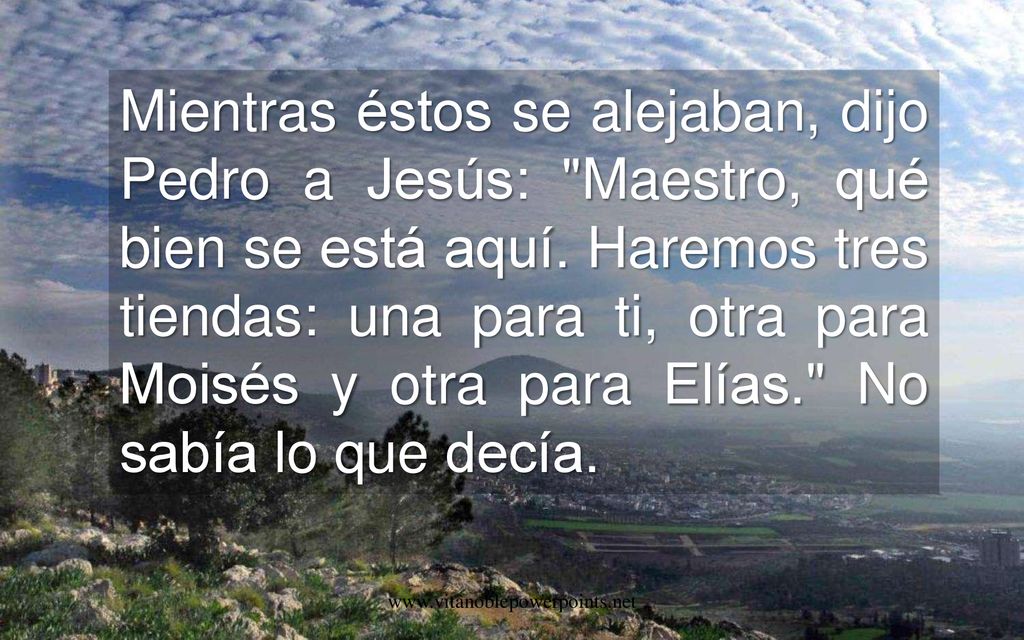 Mientras éstos se alejaban, dijo Pedro a Jesús: Maestro, qué bien se está aquí. Haremos tres tiendas: una para ti, otra para Moisés y otra para Elías. No sabía lo que decía.