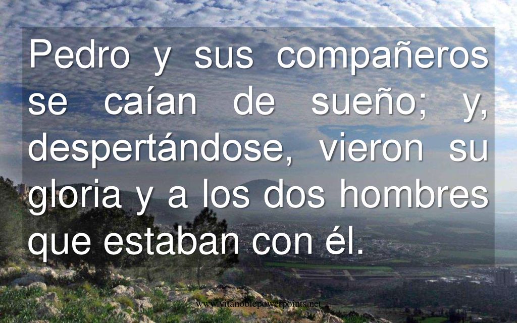 Pedro y sus compañeros se caían de sueño; y, despertándose, vieron su gloria y a los dos hombres que estaban con él.
