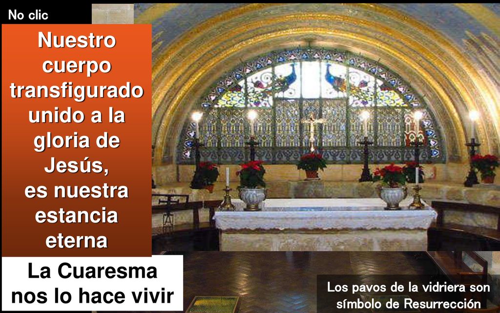 Nuestro cuerpo transfigurado unido a la gloria de Jesús,
