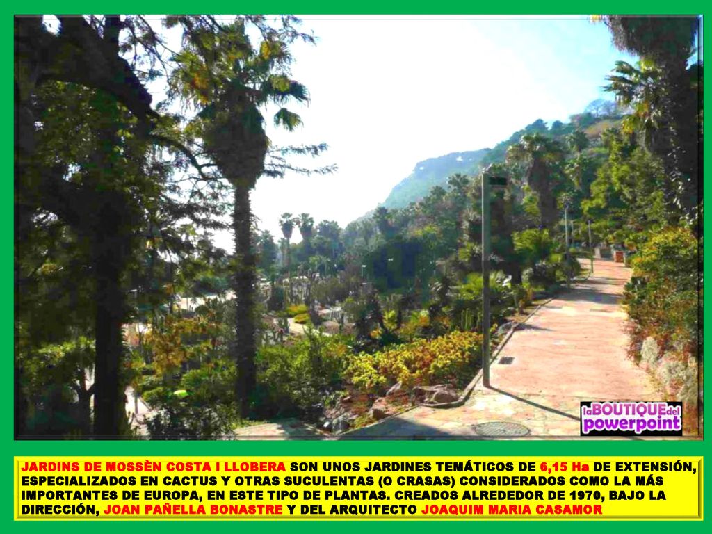 JARDINS DE MOSSÈN COSTA I LLOBERA SON UNOS JARDINES TEMÁTICOS DE 6,15 Ha DE EXTENSIÓN, ESPECIALIZADOS EN CACTUS Y OTRAS SUCULENTAS (O CRASAS) CONSIDERADOS COMO LA MÁS IMPORTANTES DE EUROPA, EN ESTE TIPO DE PLANTAS.