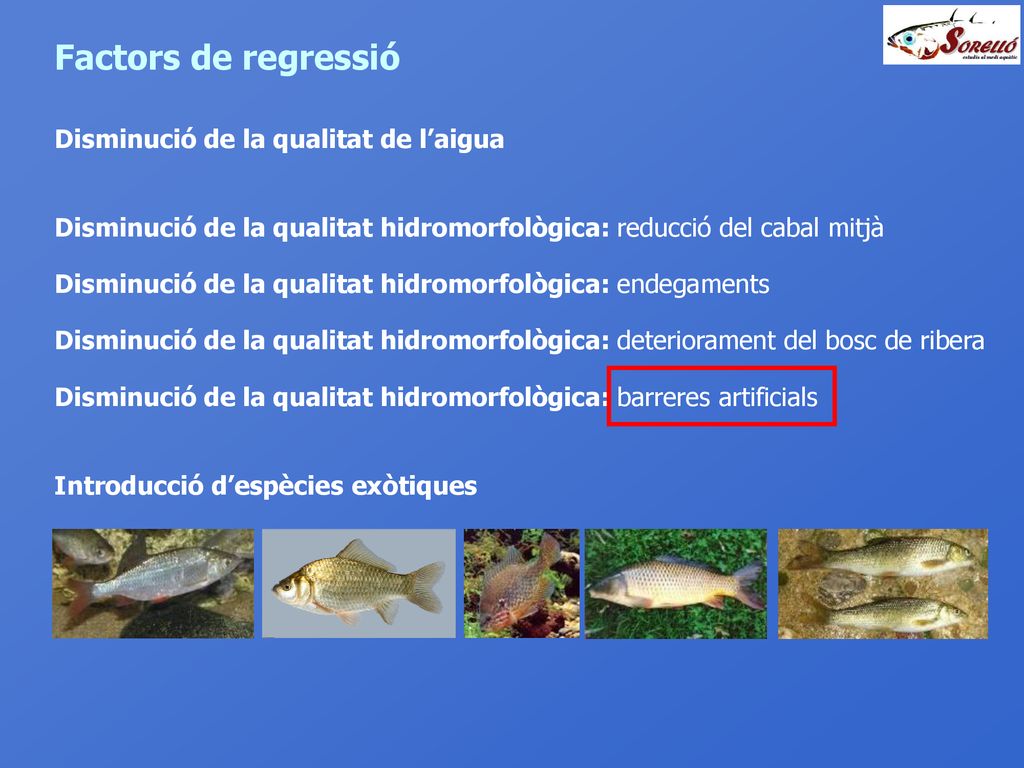 Factors de regressió Disminució de la qualitat de l’aigua