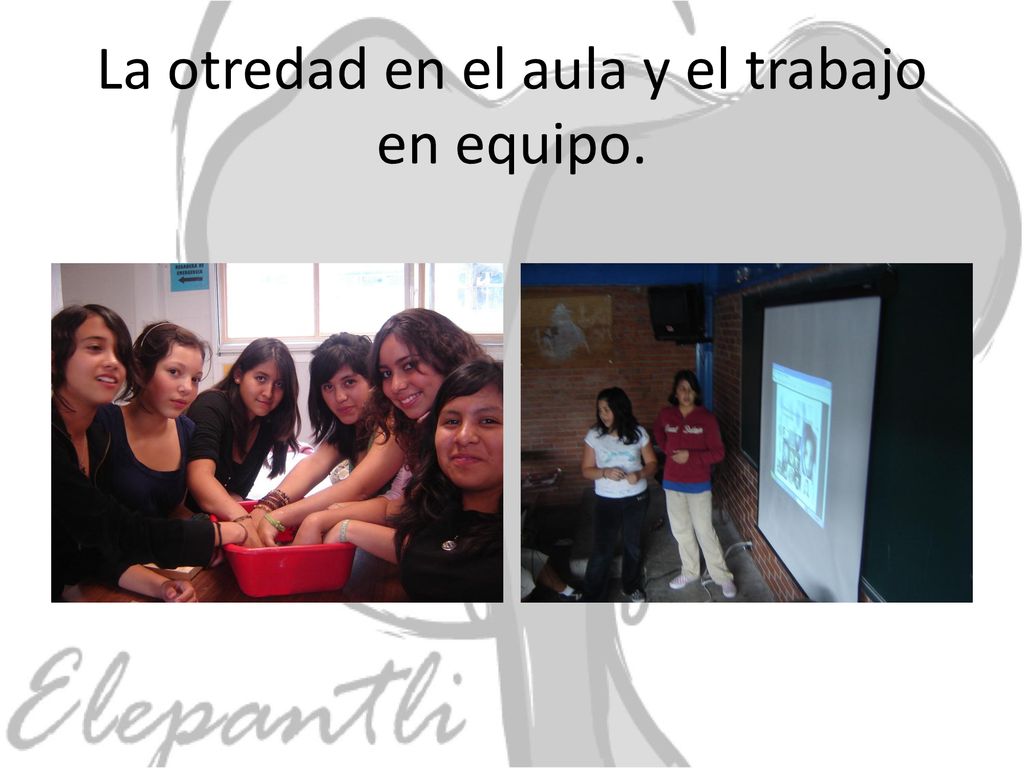 La otredad en el aula y el trabajo en equipo.