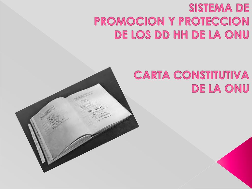 SISTEMA DE PROMOCION Y PROTECCION DE LOS DD HH DE LA ONU CARTA CONSTITUTIVA DE LA ONU