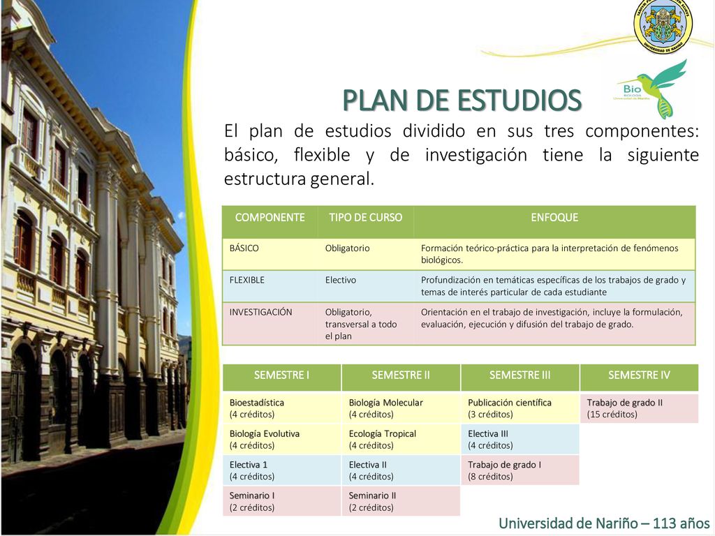 PLAN DE ESTUDIOS El plan de estudios dividido en sus tres componentes: básico, flexible y de investigación tiene la siguiente estructura general.