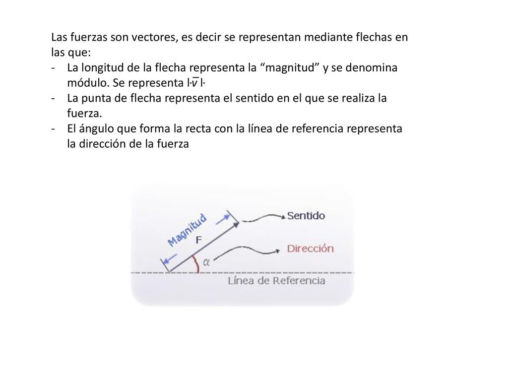 Las fuerzas son vectores, es decir se representan mediante flechas en las que: