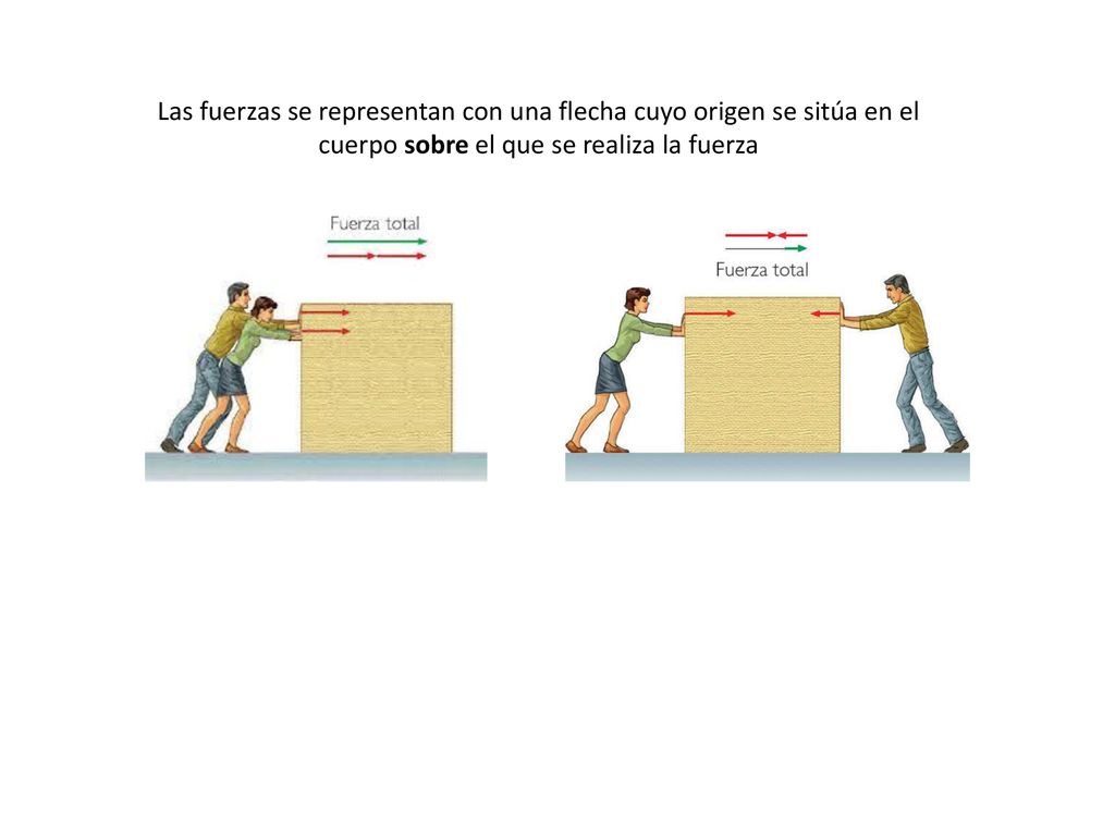 Las fuerzas se representan con una flecha cuyo origen se sitúa en el cuerpo sobre el que se realiza la fuerza