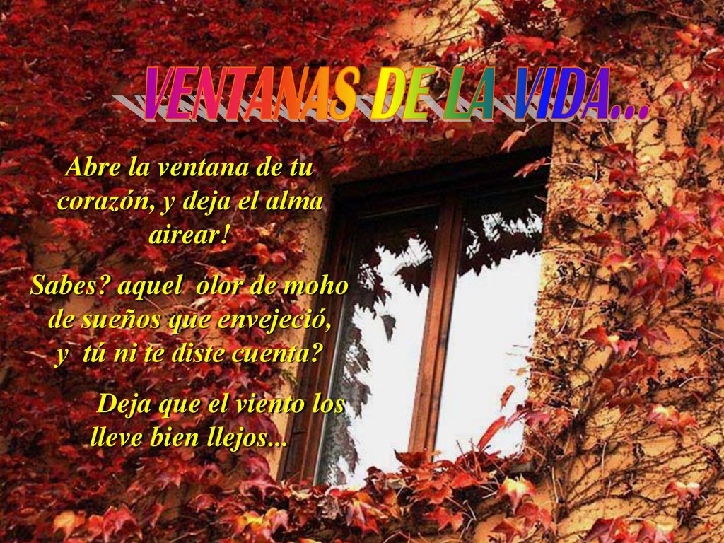 VENTANAS DE LA VIDA... Abre la ventana de tu corazón, y deja el alma airear!