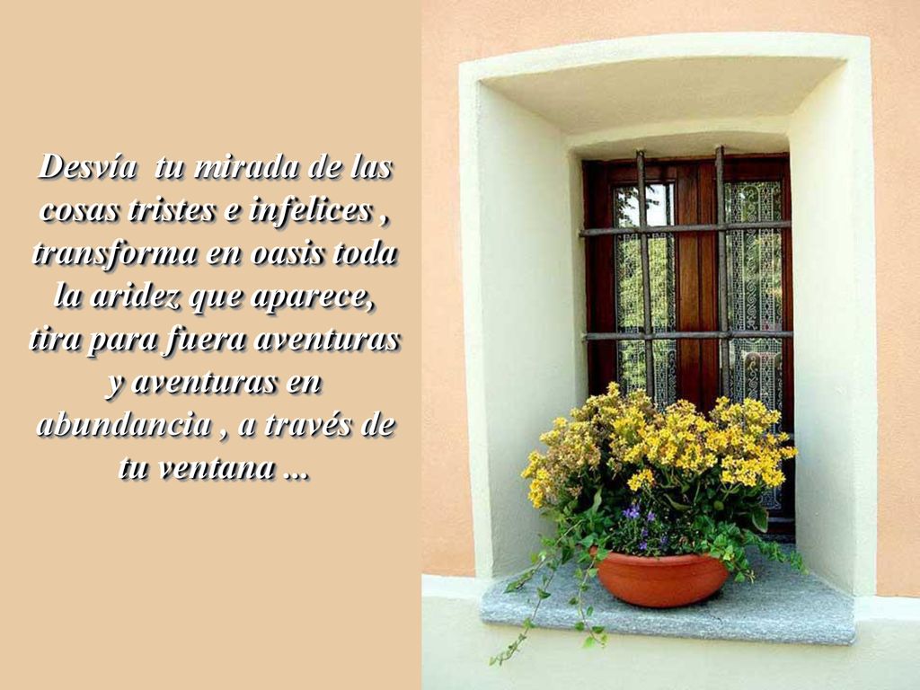 Desvía tu mirada de las cosas tristes e infelices , transforma en oasis toda la aridez que aparece, tira para fuera aventuras y aventuras en abundancia , a través de tu ventana ...