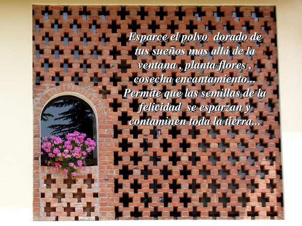 Esparce el polvo dorado de tus sueños mas allá de la ventana , planta flores , cosecha encantamiento...