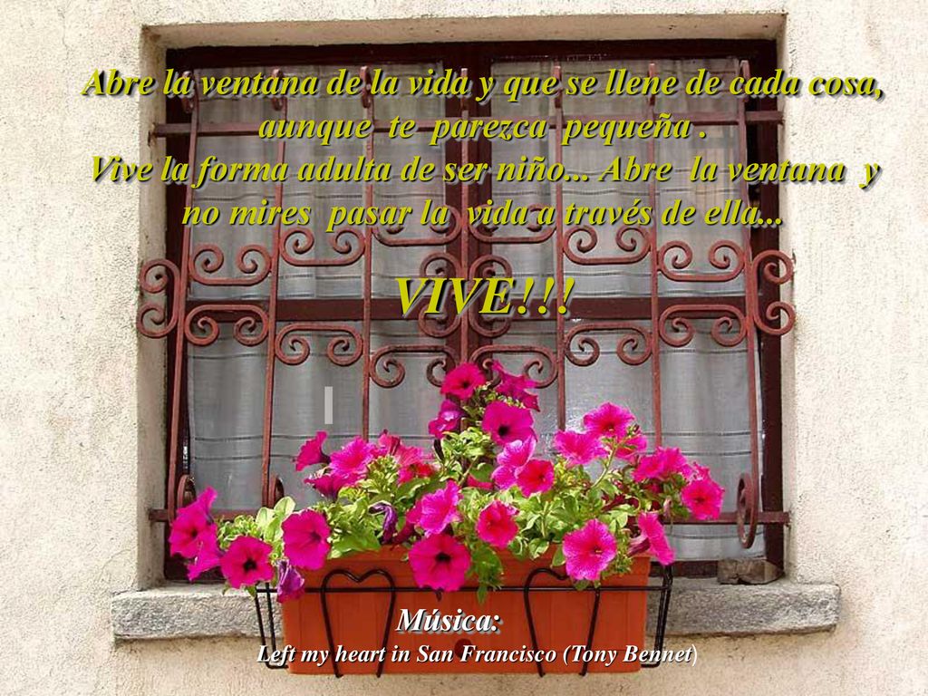 Abre la ventana de la vida y que se llene de cada cosa, aunque te parezca pequeña . Vive la forma adulta de ser niño... Abre la ventana y no mires pasar la vida a través de ella...