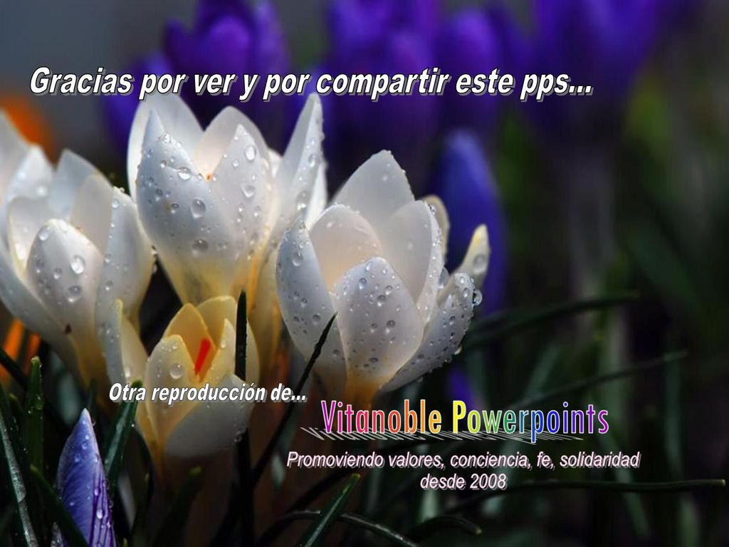 Gracias por ver y por compartir este pps...
