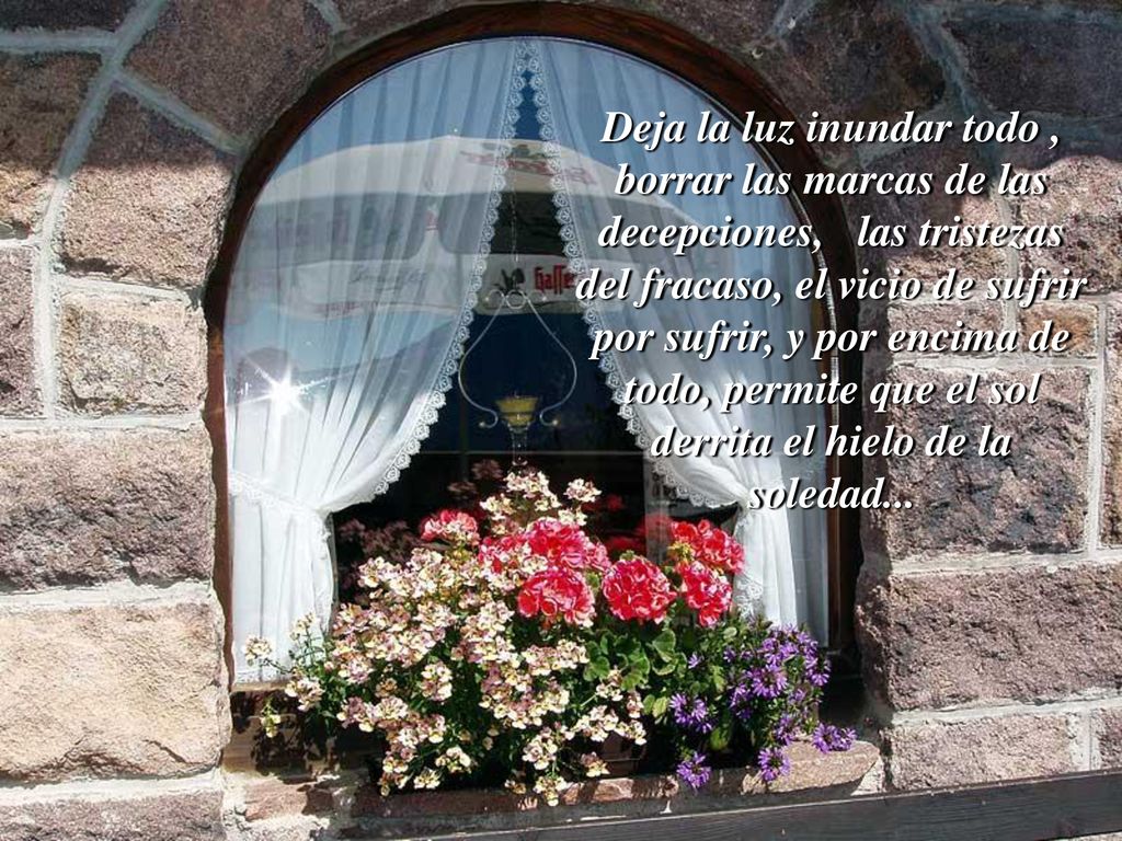 Deja la luz inundar todo , borrar las marcas de las decepciones, las tristezas del fracaso, el vicio de sufrir por sufrir, y por encima de todo, permite que el sol derrita el hielo de la soledad...