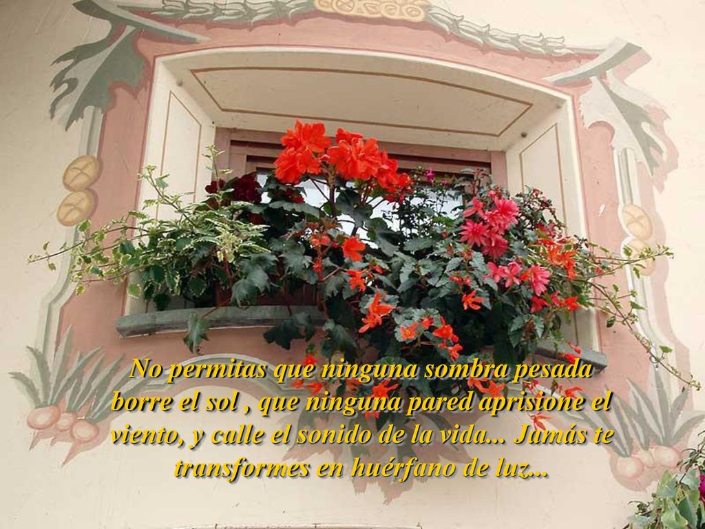 No permitas que ninguna sombra pesada borre el sol , que ninguna pared aprisione el viento, y calle el sonido de la vida...