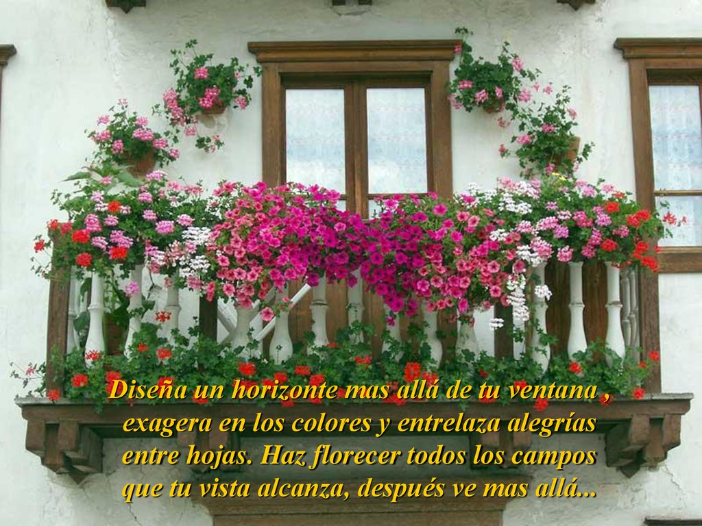Diseña un horizonte mas allá de tu ventana , exagera en los colores y entrelaza alegrías entre hojas.