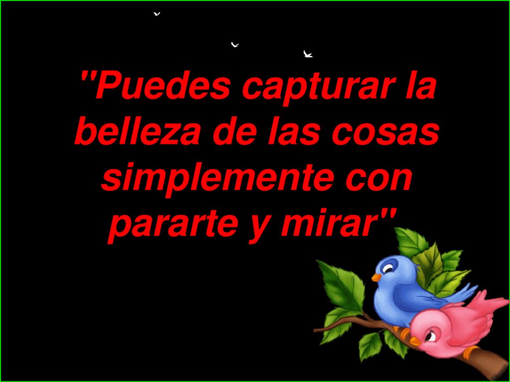 Puedes capturar la belleza de las cosas simplemente con pararte y mirar