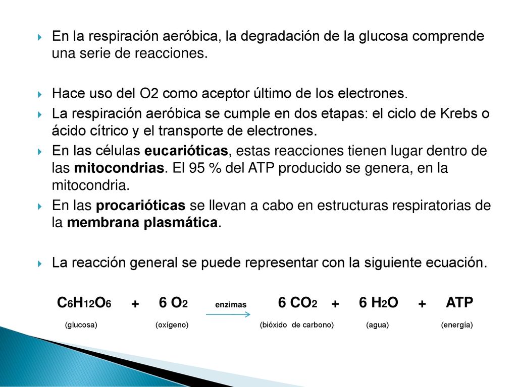 En la respiración aeróbica, la degradación de la glucosa comprende una serie de reacciones.