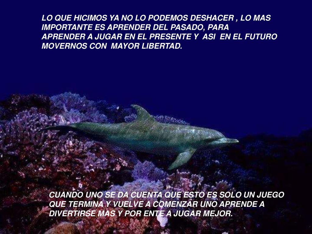 LO QUE HICIMOS YA NO LO PODEMOS DESHACER , LO MAS