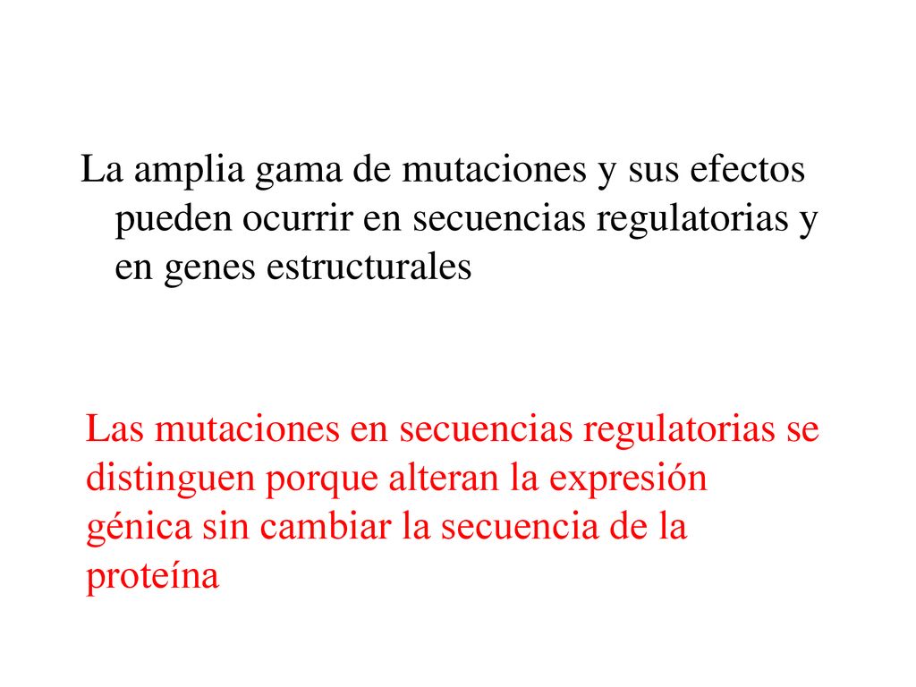 La amplia gama de mutaciones y sus efectos pueden ocurrir en secuencias regulatorias y en genes estructurales