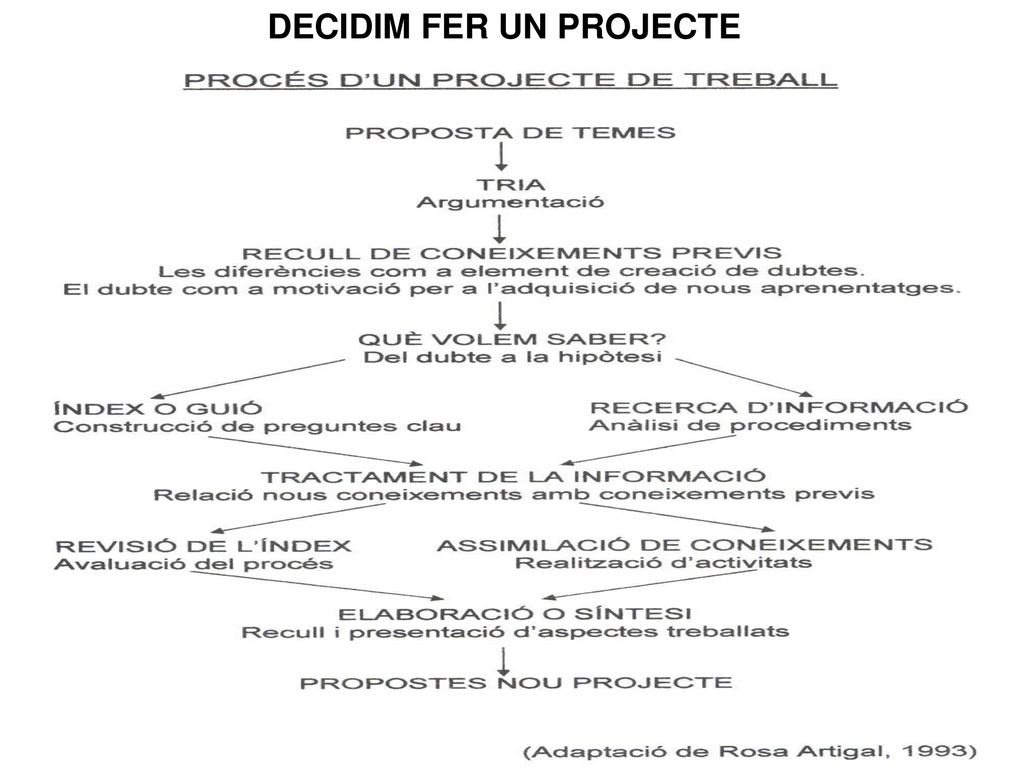 DECIDIM FER UN PROJECTE