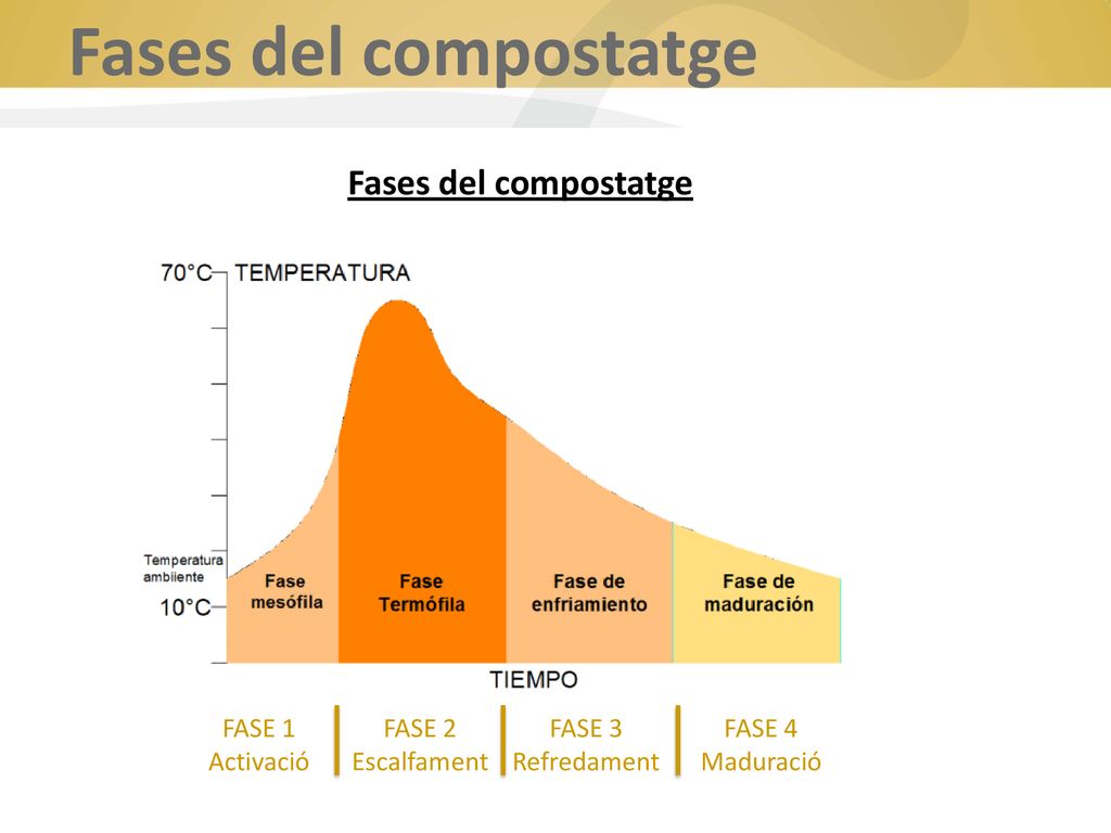 Fases del compostatge Fases del compostatge FASE 1 Activació FASE 2