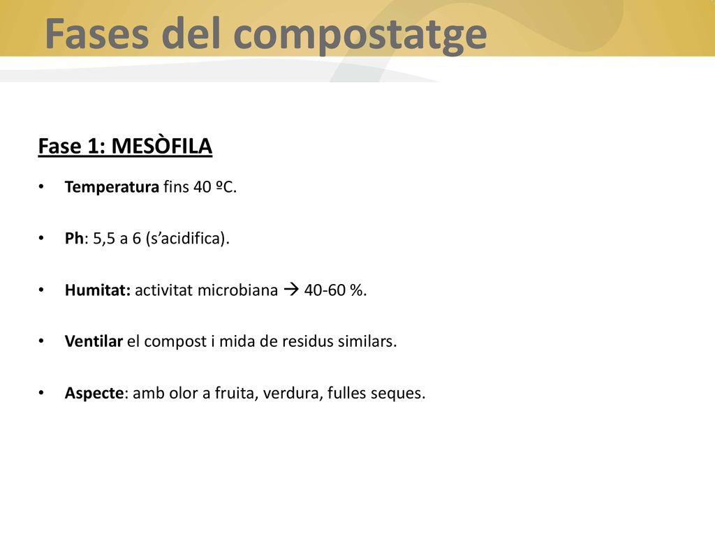 Fases del compostatge Fase 1: MESÒFILA Temperatura fins 40 ºC.
