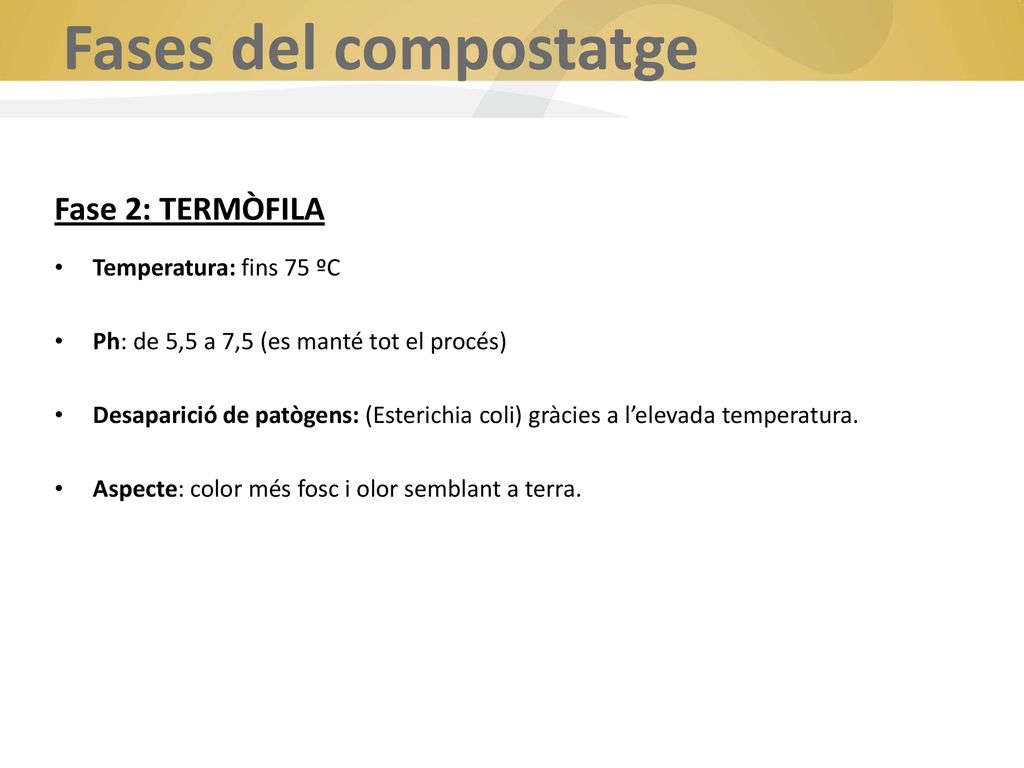 Fases del compostatge Fase 2: TERMÒFILA Temperatura: fins 75 ºC