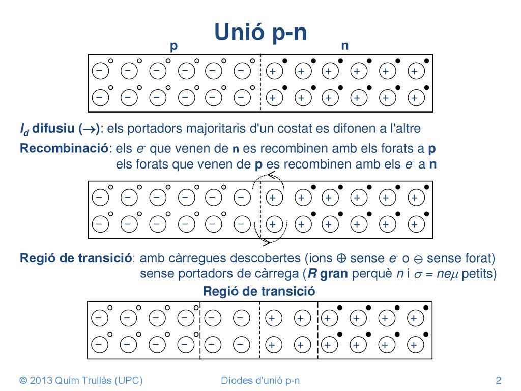 Unió p-n + - n. p. Id difusiu (): els portadors majoritaris d un costat es difonen a l altre.