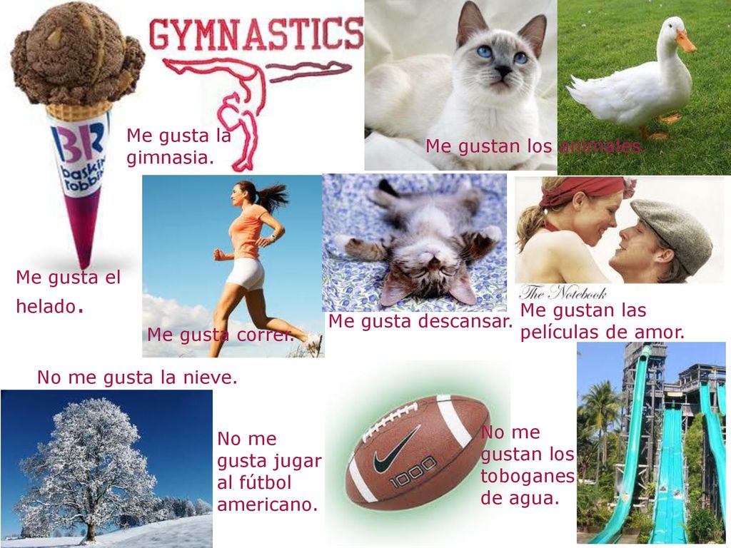Me gusta la gimnasia. Me gustan los animales. Me gusta el helado. Me gustan las películas de amor.
