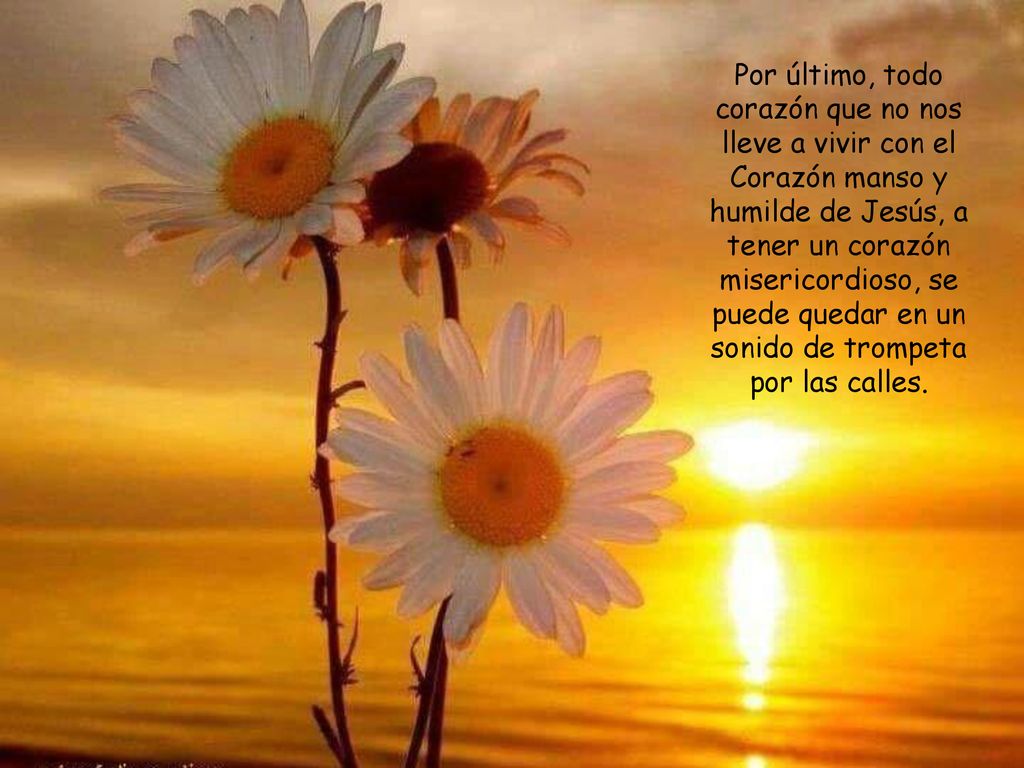 Por último, todo corazón que no nos lleve a vivir con el Corazón manso y humilde de Jesús, a tener un corazón misericordioso, se puede quedar en un sonido de trompeta por las calles.