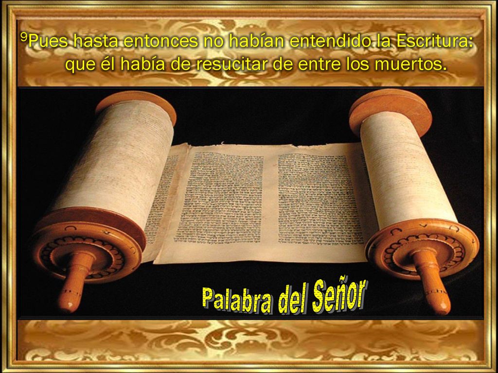 9Pues hasta entonces no habían entendido la Escritura: que él había de resucitar de entre los muertos.