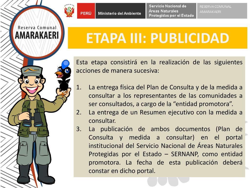 ETAPA III: PUBLICIDAD Esta etapa consistirá en la realización de las siguientes acciones de manera sucesiva: