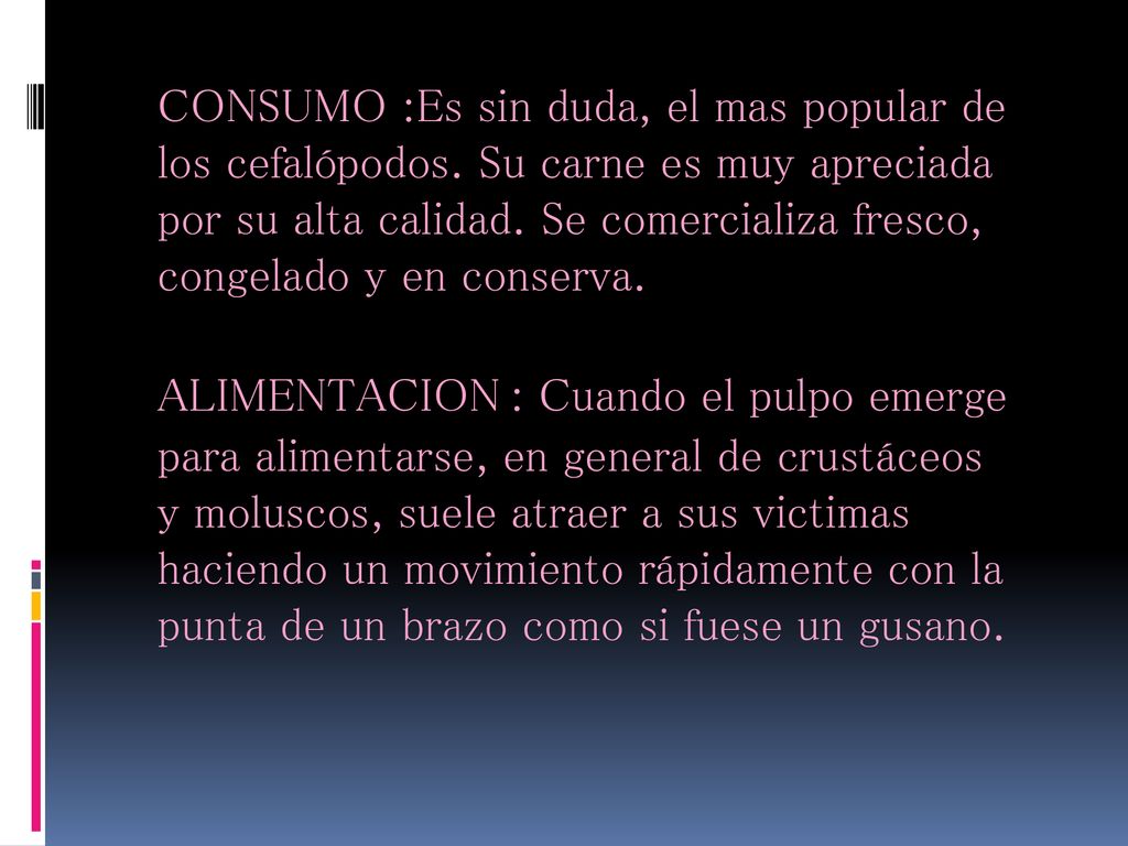 CONSUMO :Es sin duda, el mas popular de los cefalópodos