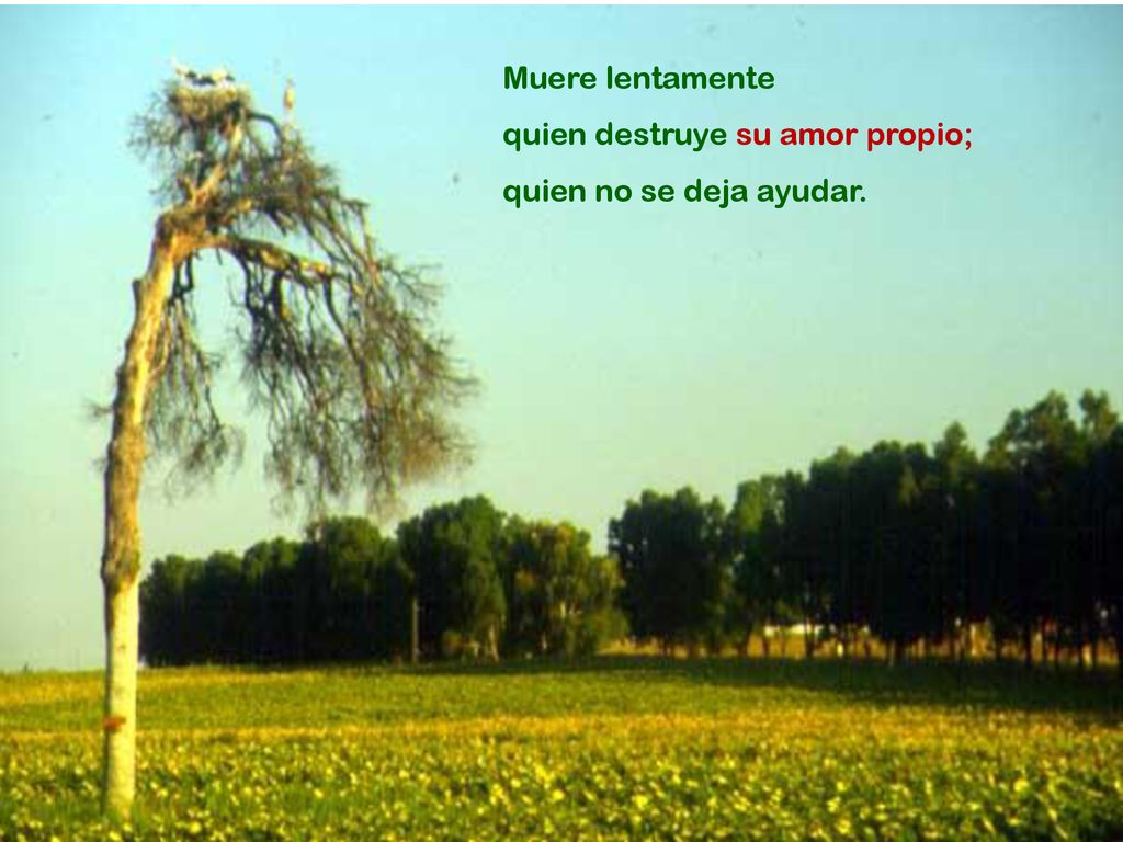 Muere lentamente quien destruye su amor propio; quien no se deja ayudar.