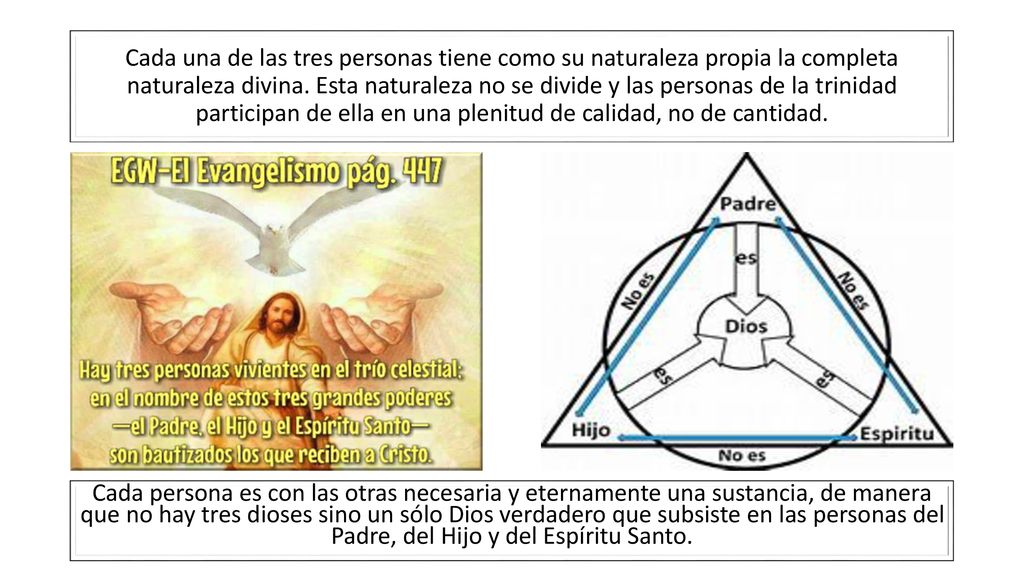 Cada una de las tres personas tiene como su naturaleza propia la completa naturaleza divina. Esta naturaleza no se divide y las personas de la trinidad participan de ella en una plenitud de calidad, no de cantidad.