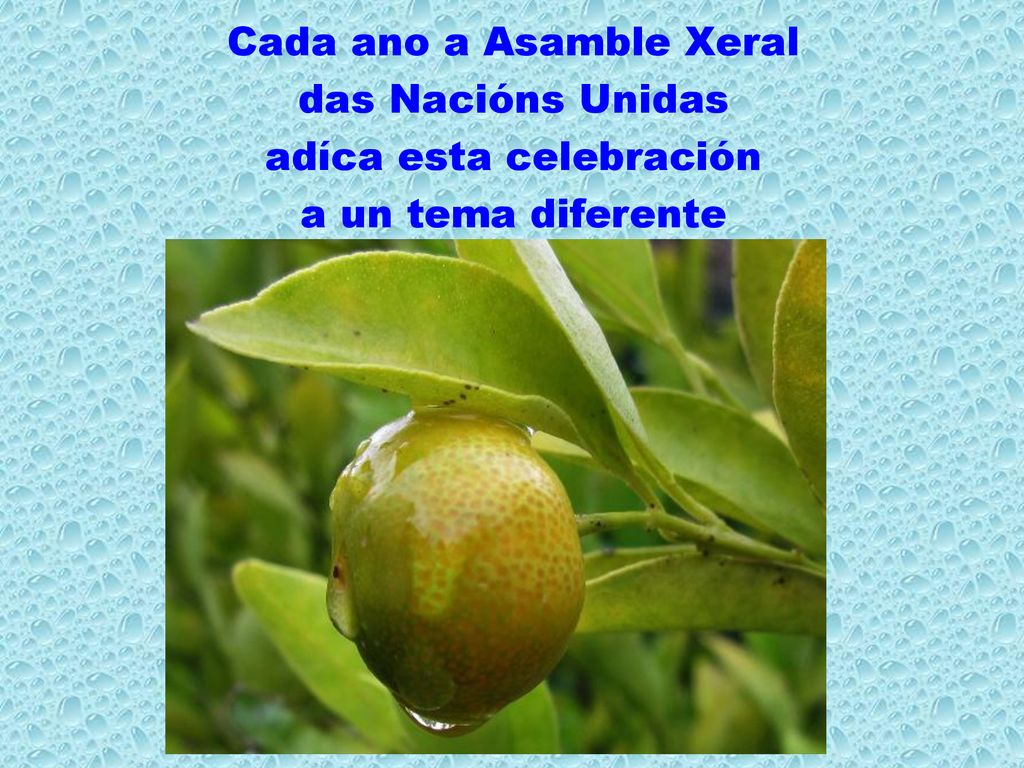 Cada ano a Asamble Xeral das Nacións Unidas adíca esta celebración a un tema diferente