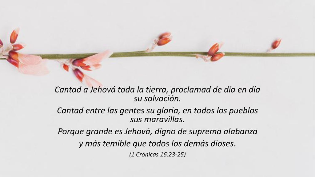 Cantad a Jehová toda la tierra, proclamad de día en día su salvación.