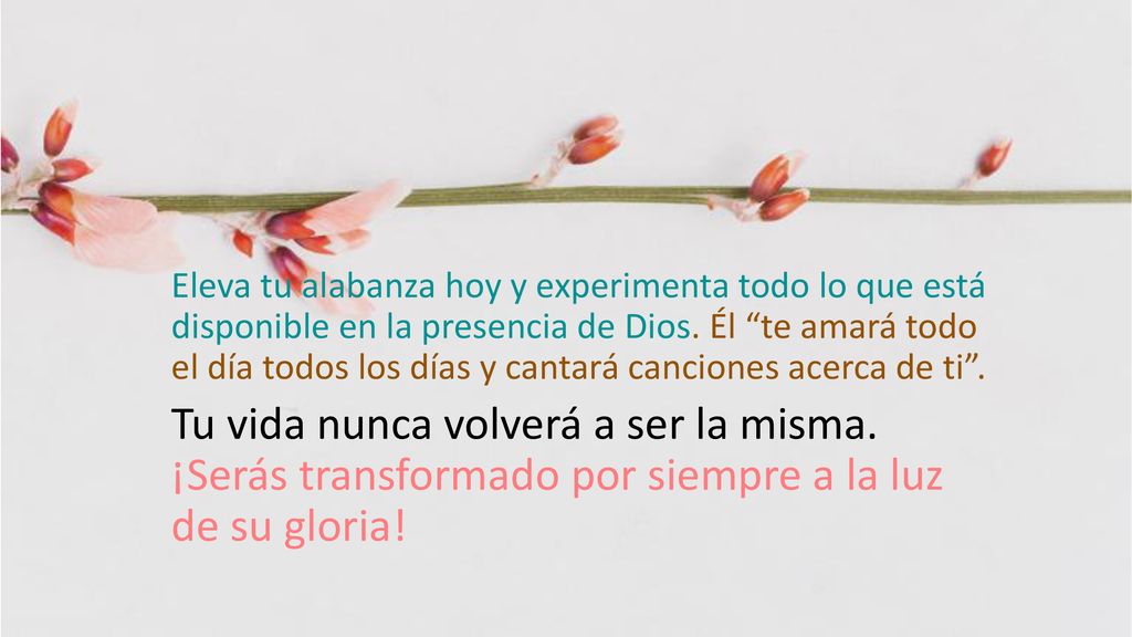 Eleva tu alabanza hoy y experimenta todo lo que está disponible en la presencia de Dios. Él te amará todo el día todos los días y cantará canciones acerca de ti .