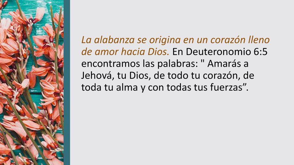 La alabanza se origina en un corazón lleno de amor hacia Dios