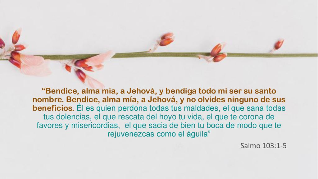 Bendice, alma mía, a Jehová, y bendiga todo mi ser su santo nombre