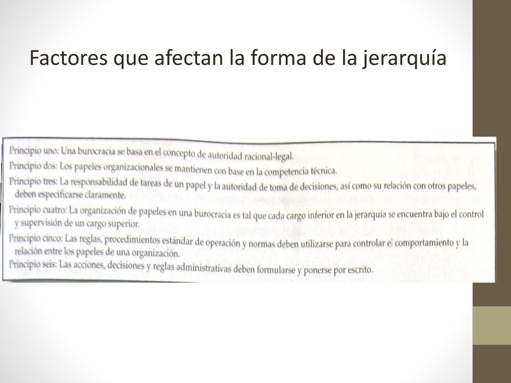 Factores que afectan la forma de la jerarquía