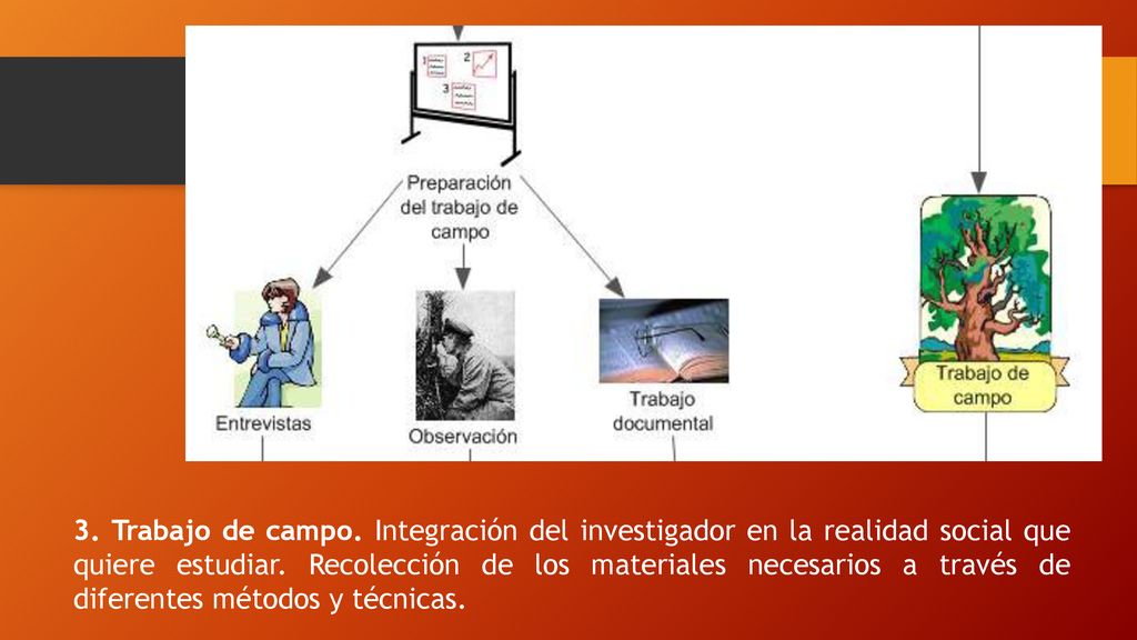 3. Trabajo de campo. Integración del investigador en la realidad social que quiere estudiar.